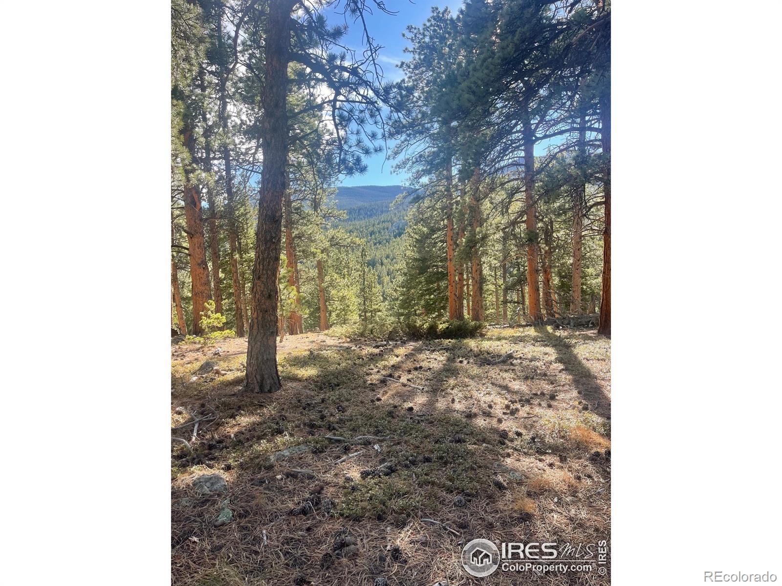 399 N Skinner Road Allenspark CO 80510