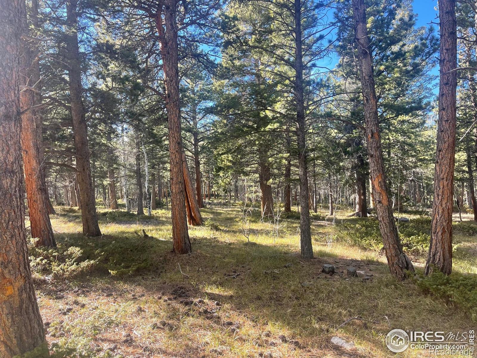 399 N Skinner Road Allenspark CO 80510
