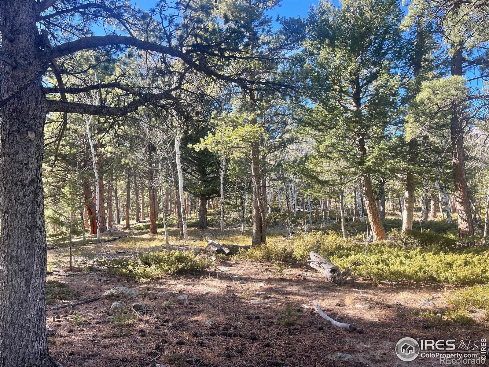 399 N Skinner Road Allenspark CO 80510