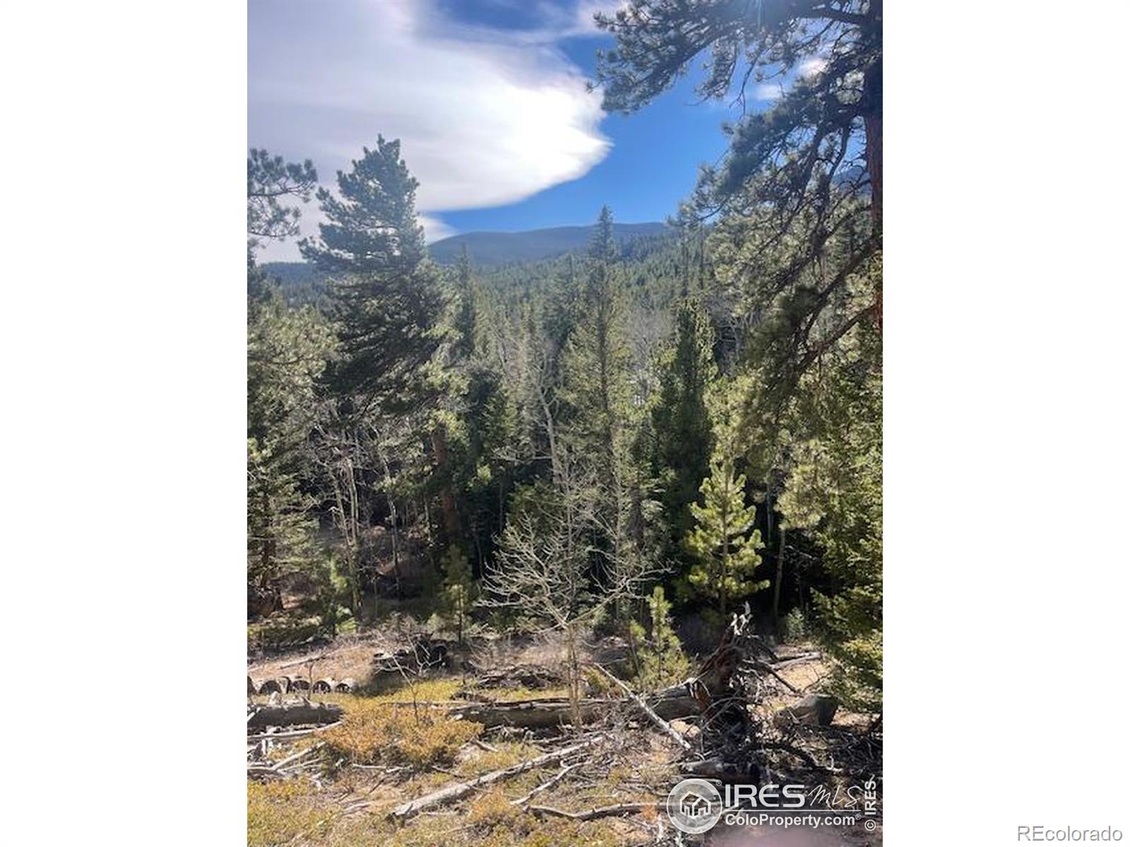 399 N Skinner Road Allenspark CO 80510