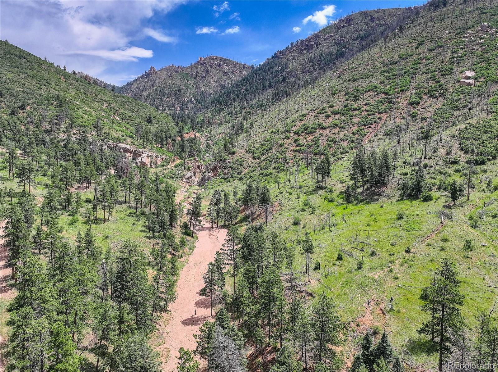 6085 Wellington Road Cascade CO 80809