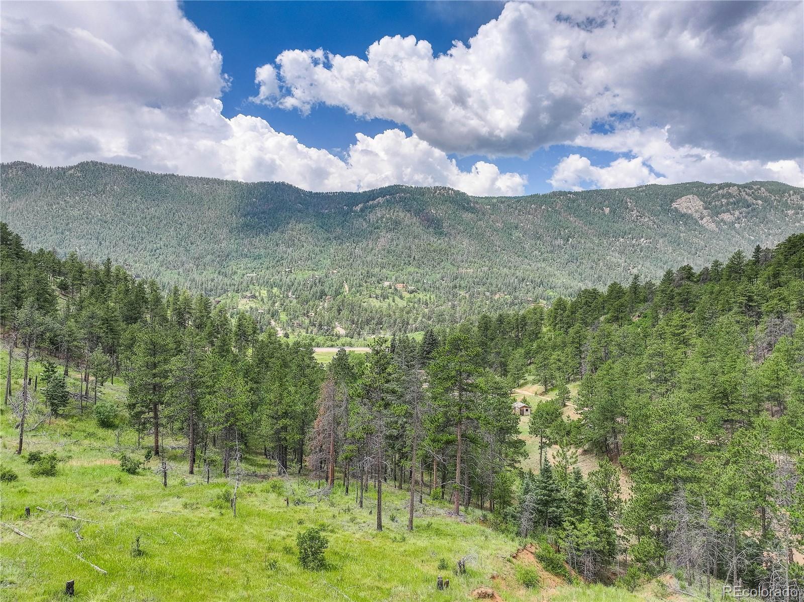 6085 Wellington Road Cascade CO 80809