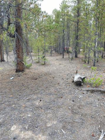 340 Peak View Drive Twin Lakes CO 80461