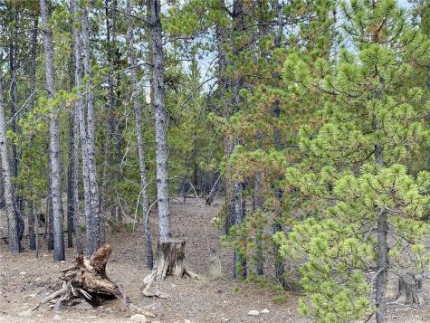 340 Peak View Drive Twin Lakes CO 80461