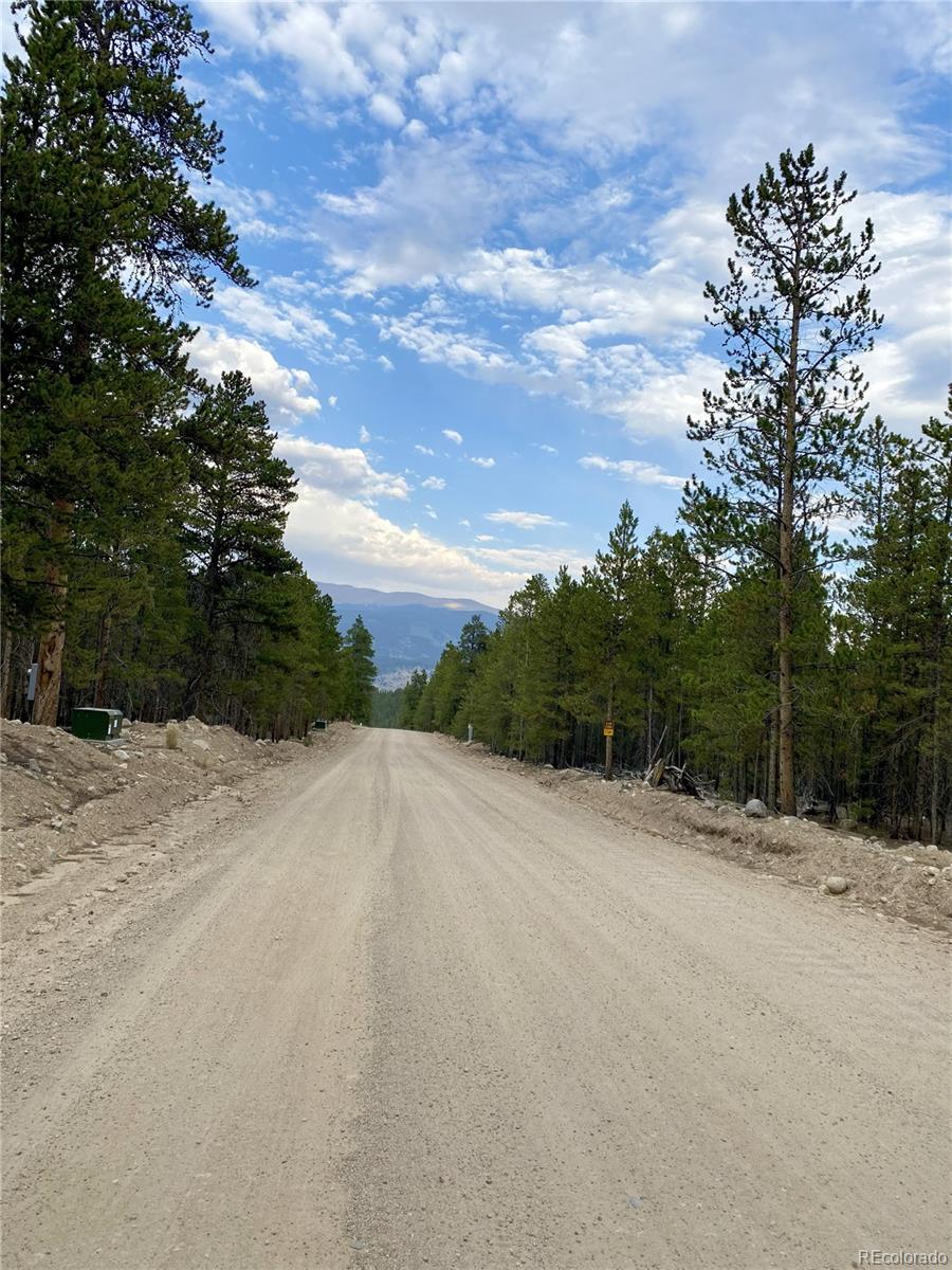 340 Peak View Drive Twin Lakes CO 80461