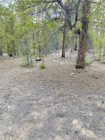 340 Peak View Drive Twin Lakes CO 80461