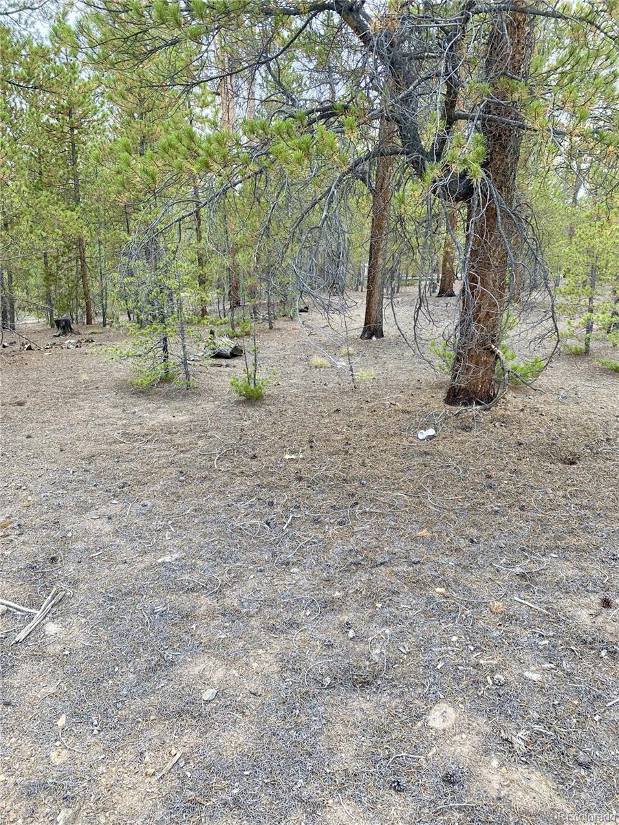 340 Peak View Drive Twin Lakes CO 80461