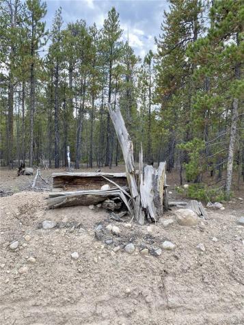 340 Peak View Drive Twin Lakes CO 80461