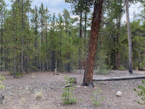 340 Peak View Drive Twin Lakes CO 80461