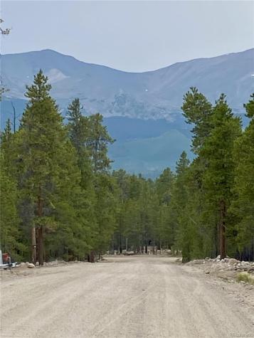 340 Peak View Drive Twin Lakes CO 80461