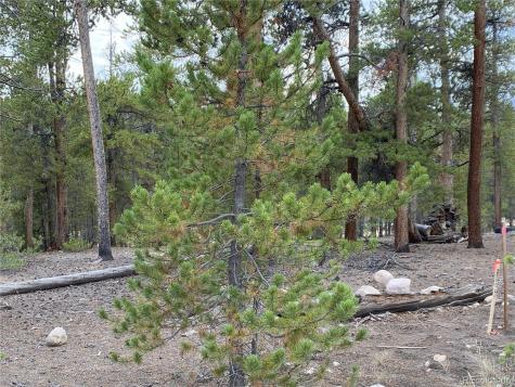 340 Peak View Drive Twin Lakes CO 80461