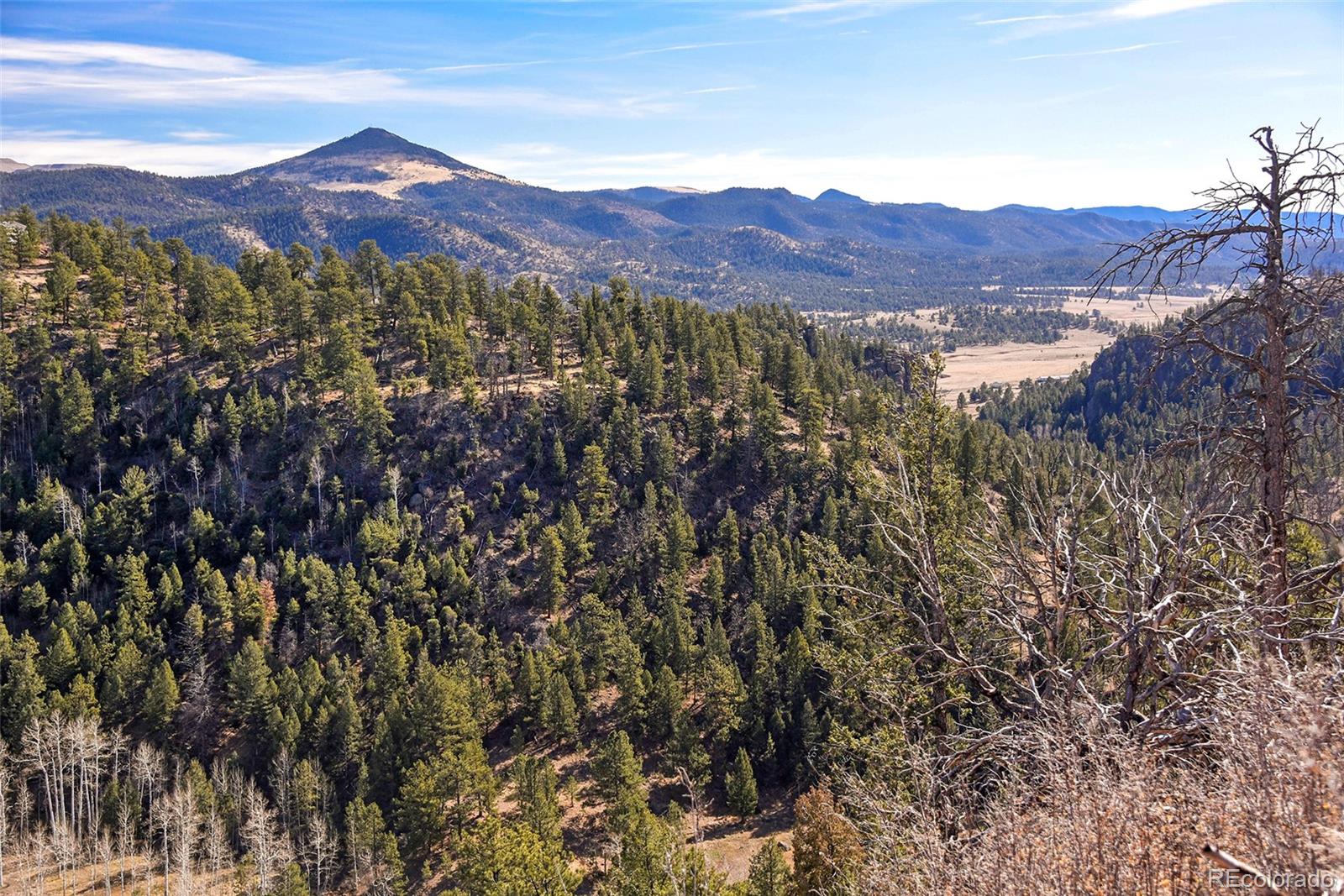 292 Chateau West Drive Florissant CO 80816