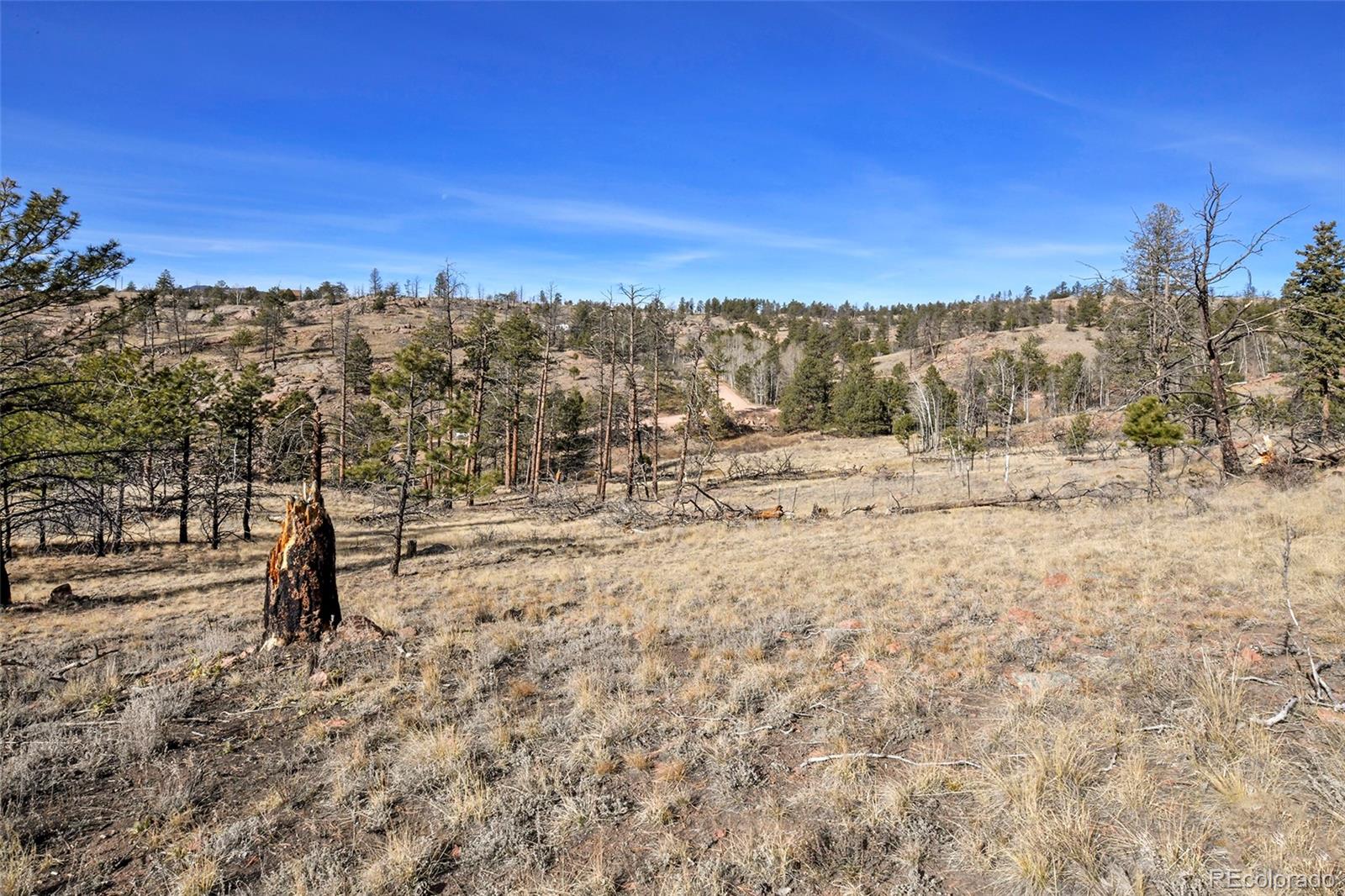 292 Chateau West Drive Florissant CO 80816