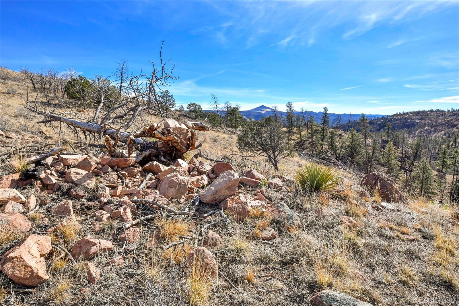 292 Chateau West Drive Florissant CO 80816