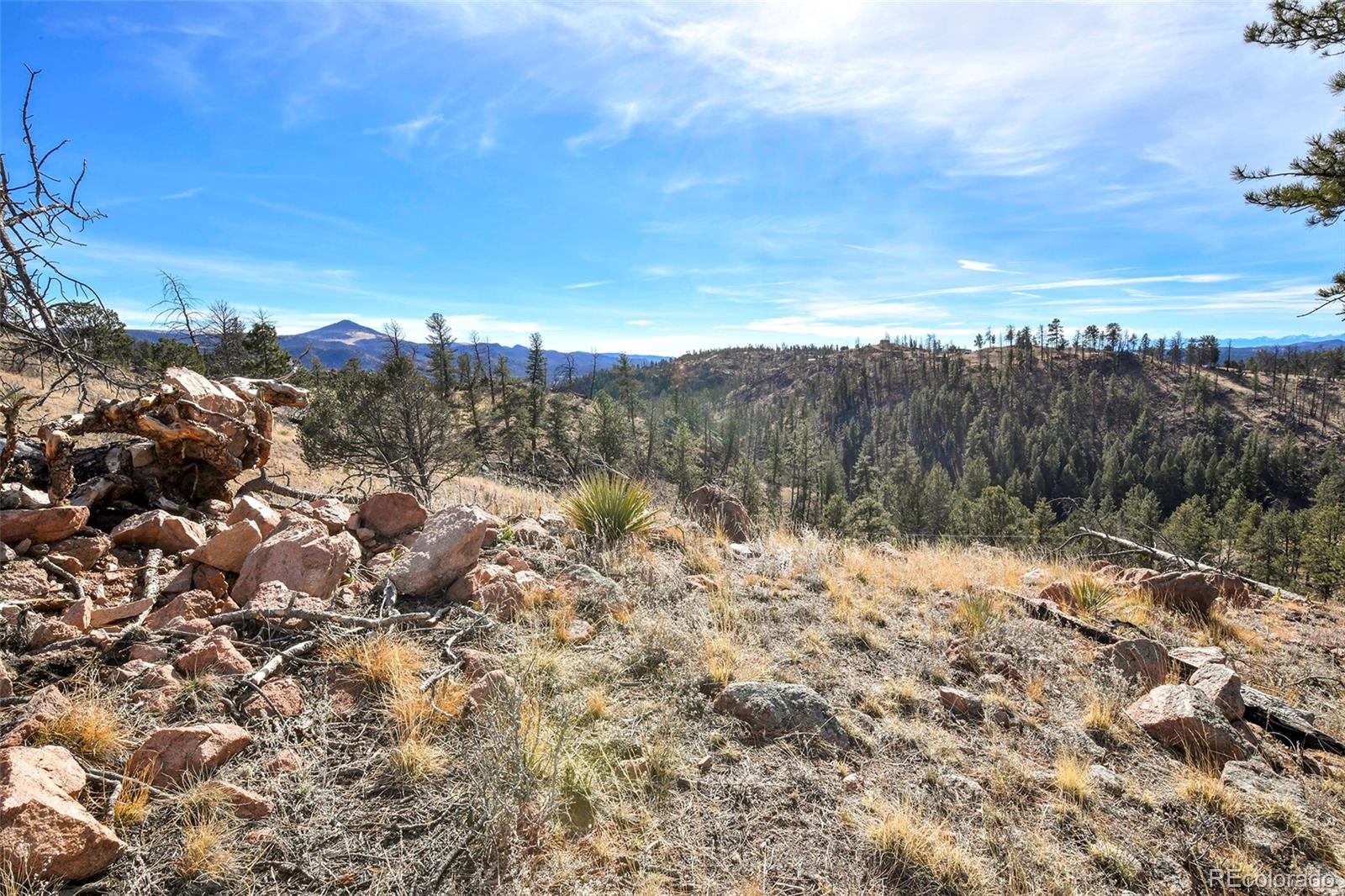 292 Chateau West Drive Florissant CO 80816