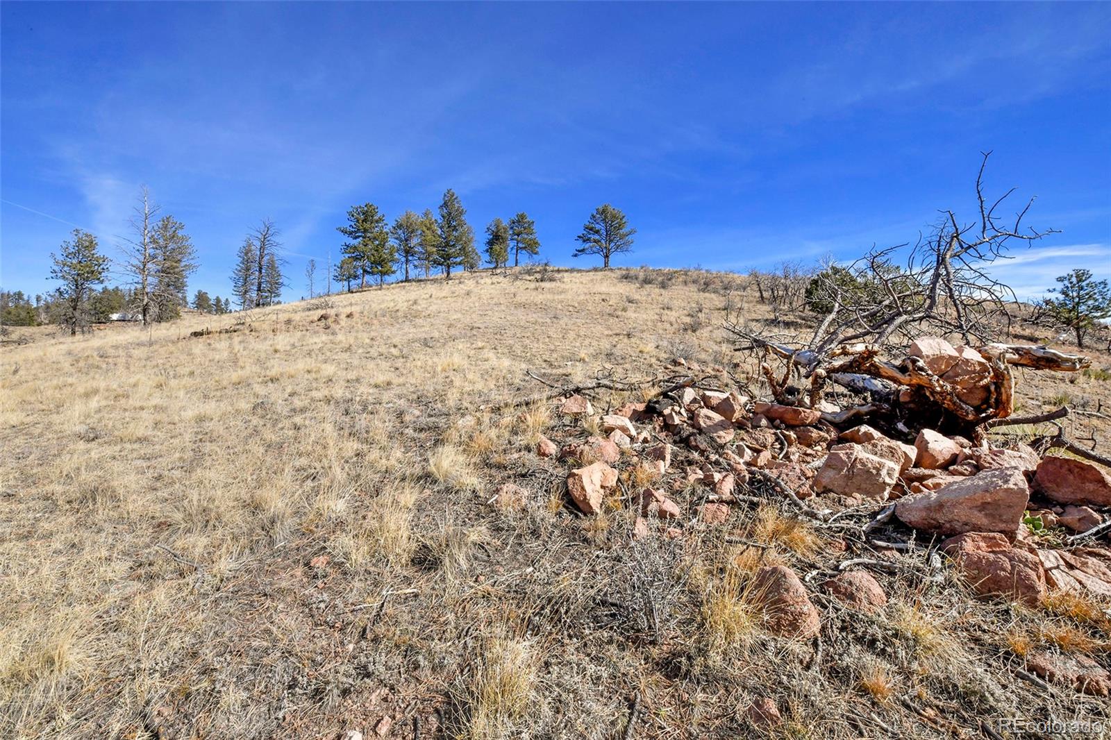 292 Chateau West Drive Florissant CO 80816