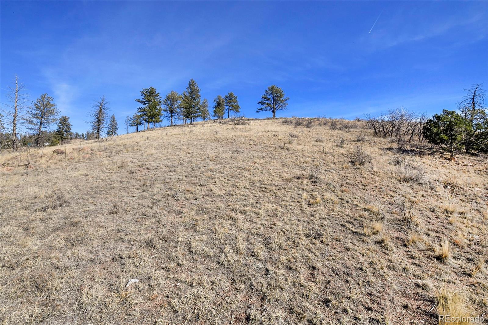 292 Chateau West Drive Florissant CO 80816
