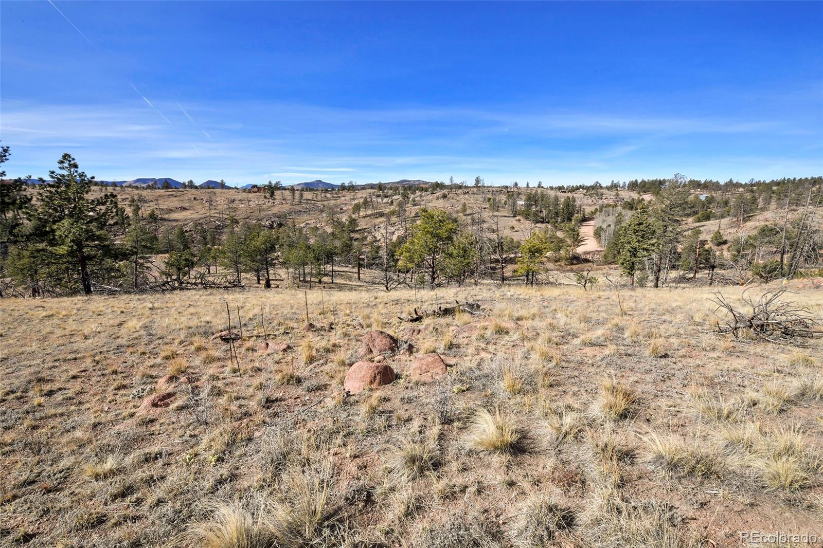 292 Chateau West Drive Florissant CO 80816