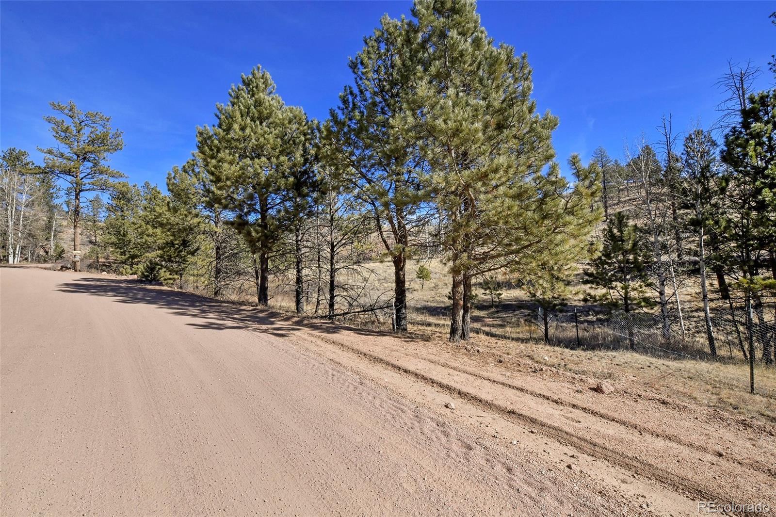 292 Chateau West Drive Florissant CO 80816
