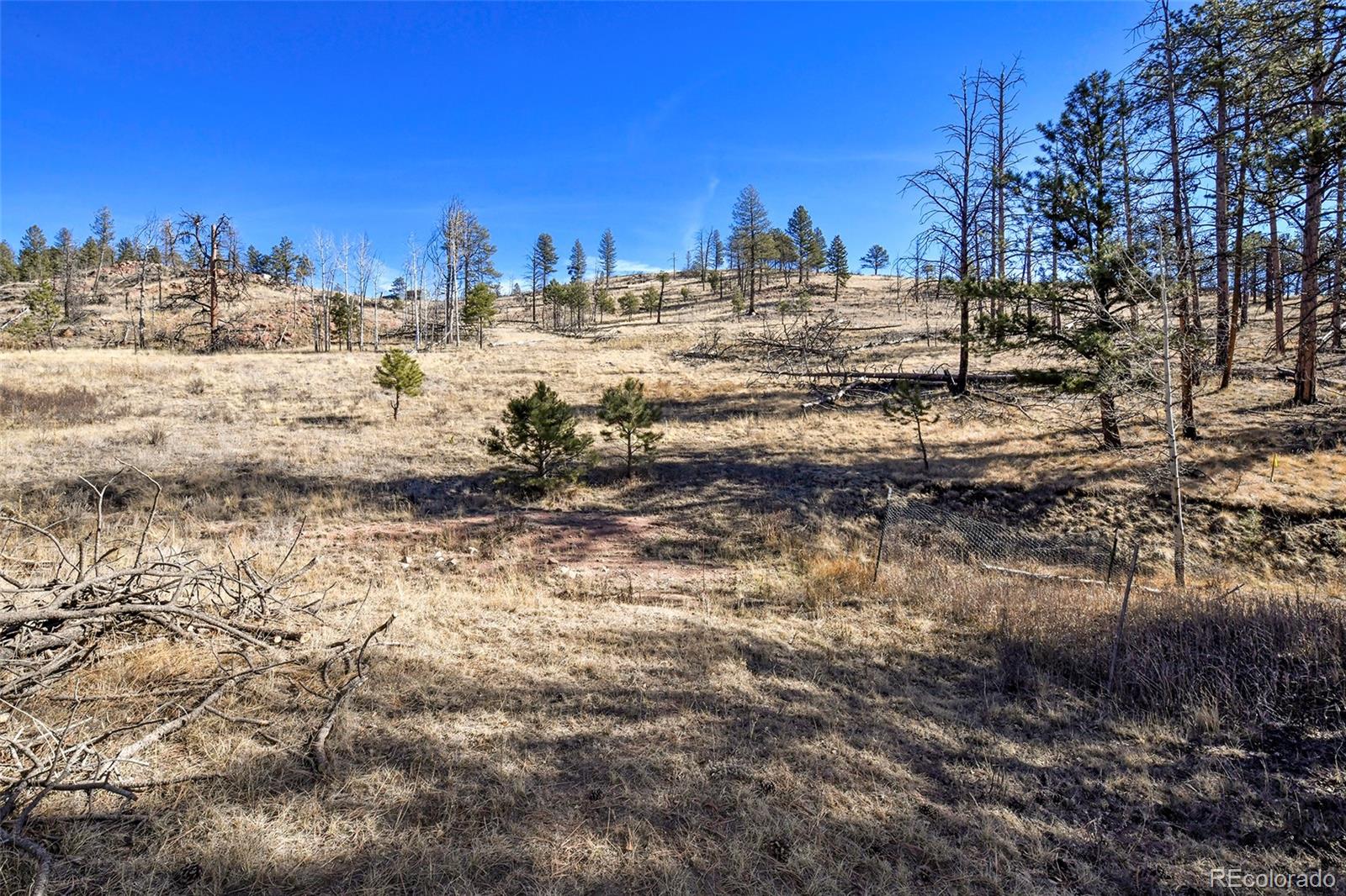 292 Chateau West Drive Florissant CO 80816