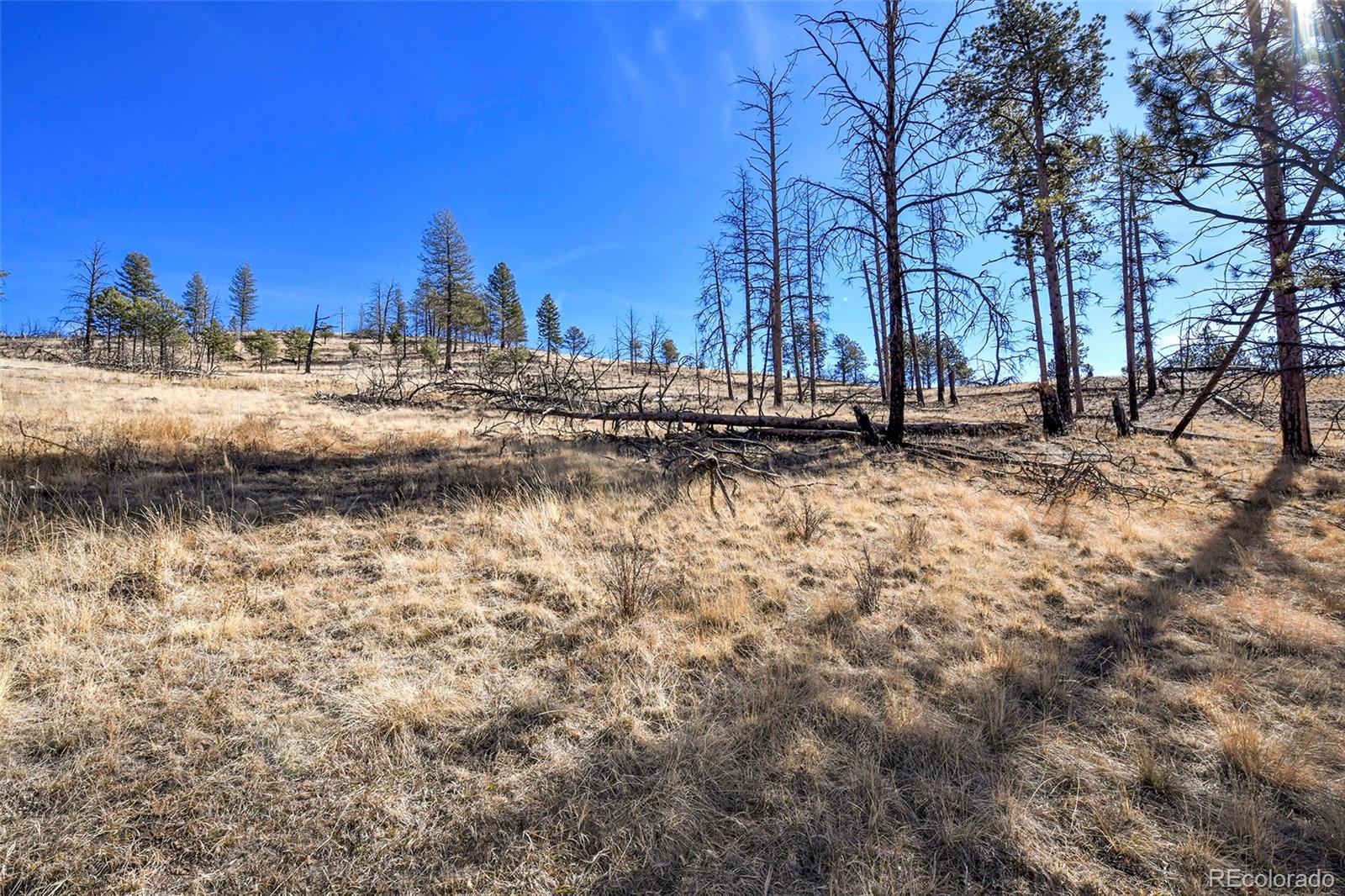 292 Chateau West Drive Florissant CO 80816
