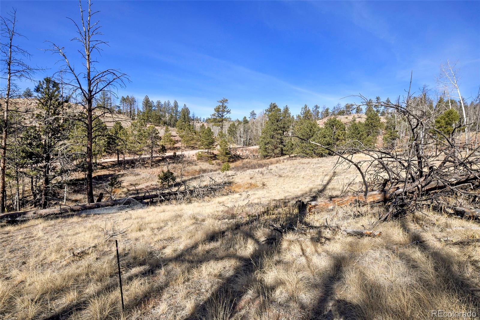 292 Chateau West Drive Florissant CO 80816