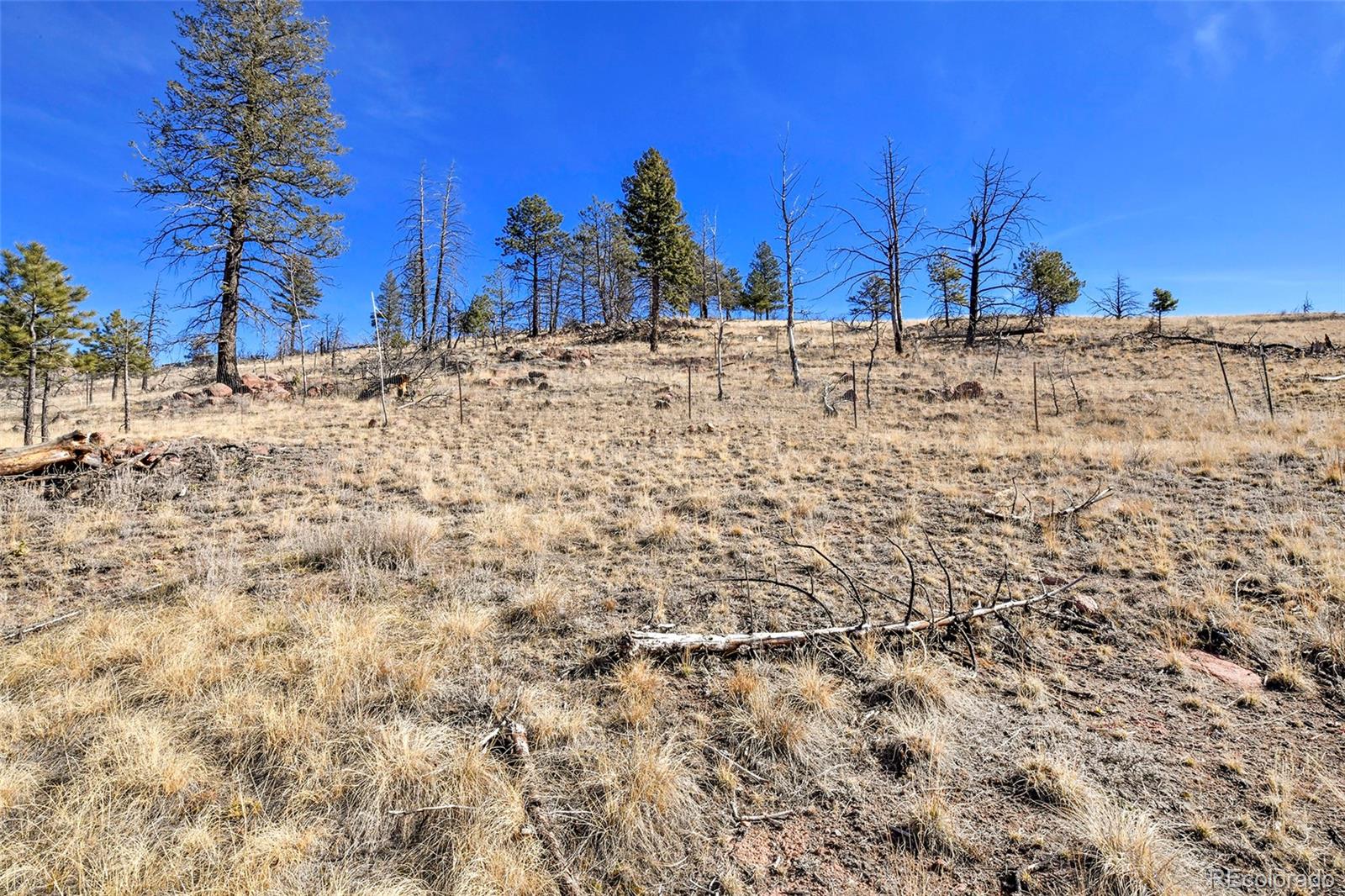 292 Chateau West Drive Florissant CO 80816