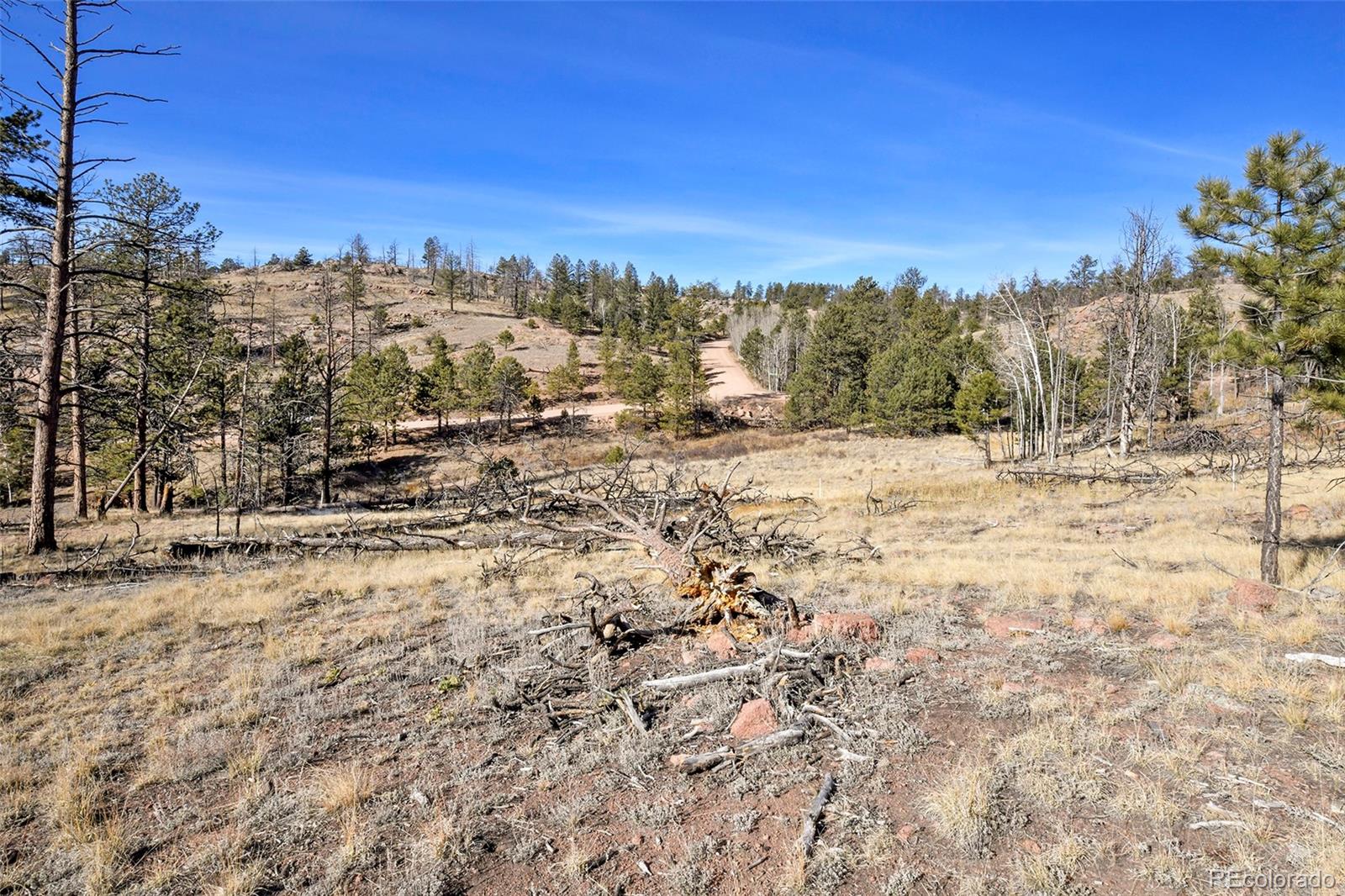 292 Chateau West Drive Florissant CO 80816