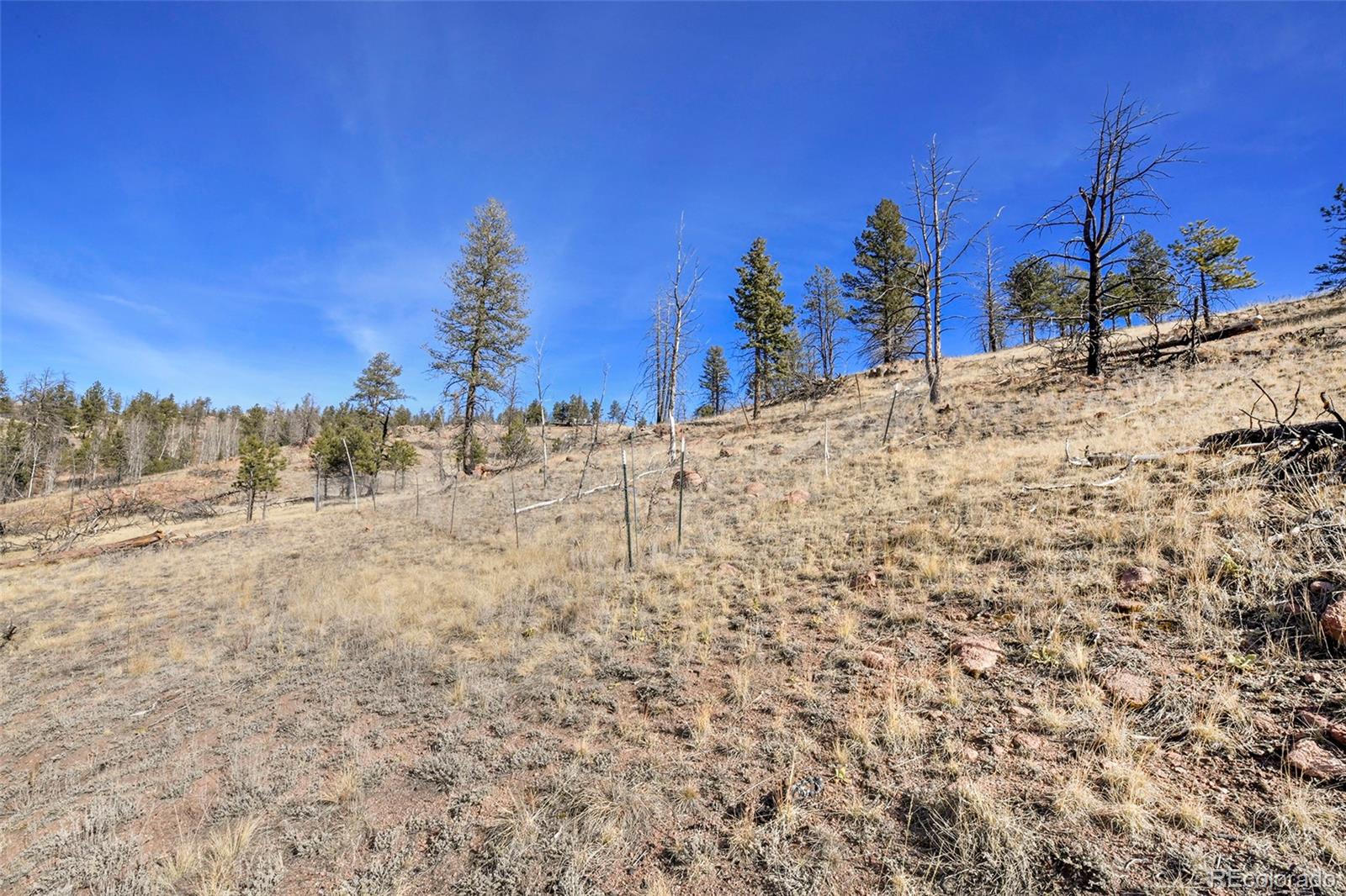 292 Chateau West Drive Florissant CO 80816