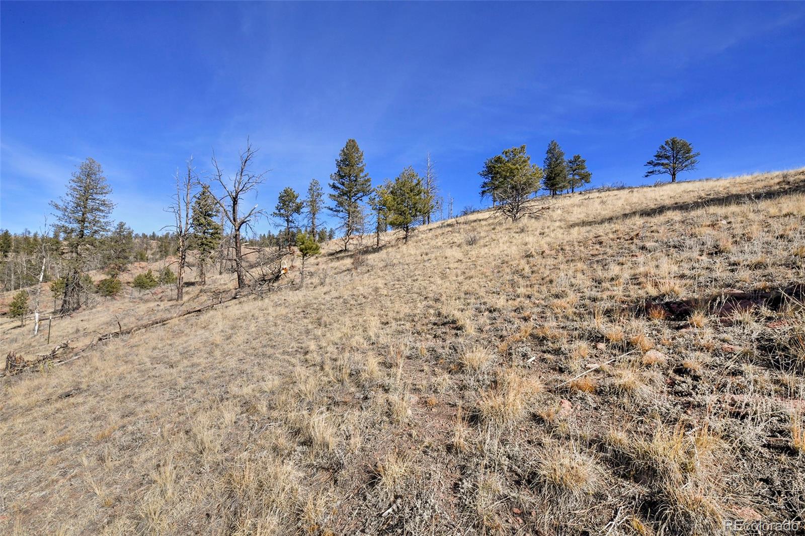 292 Chateau West Drive Florissant CO 80816