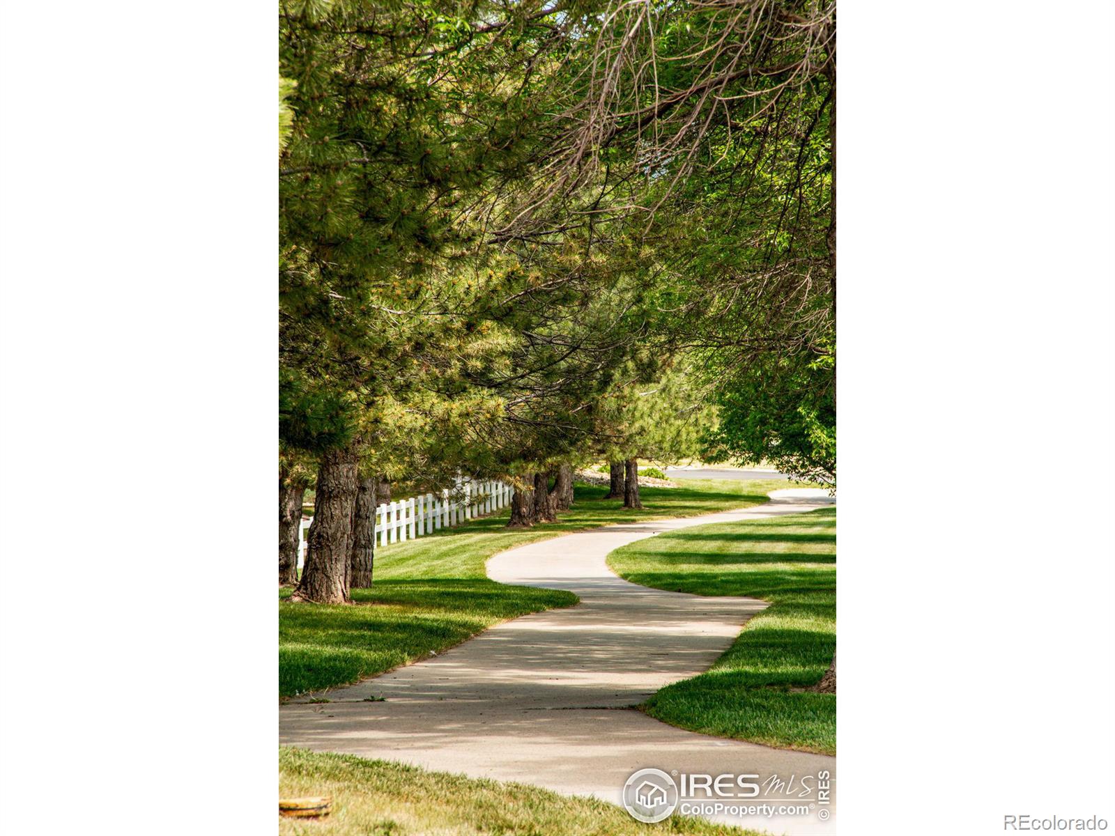 219 Medina Court Loveland CO 80537