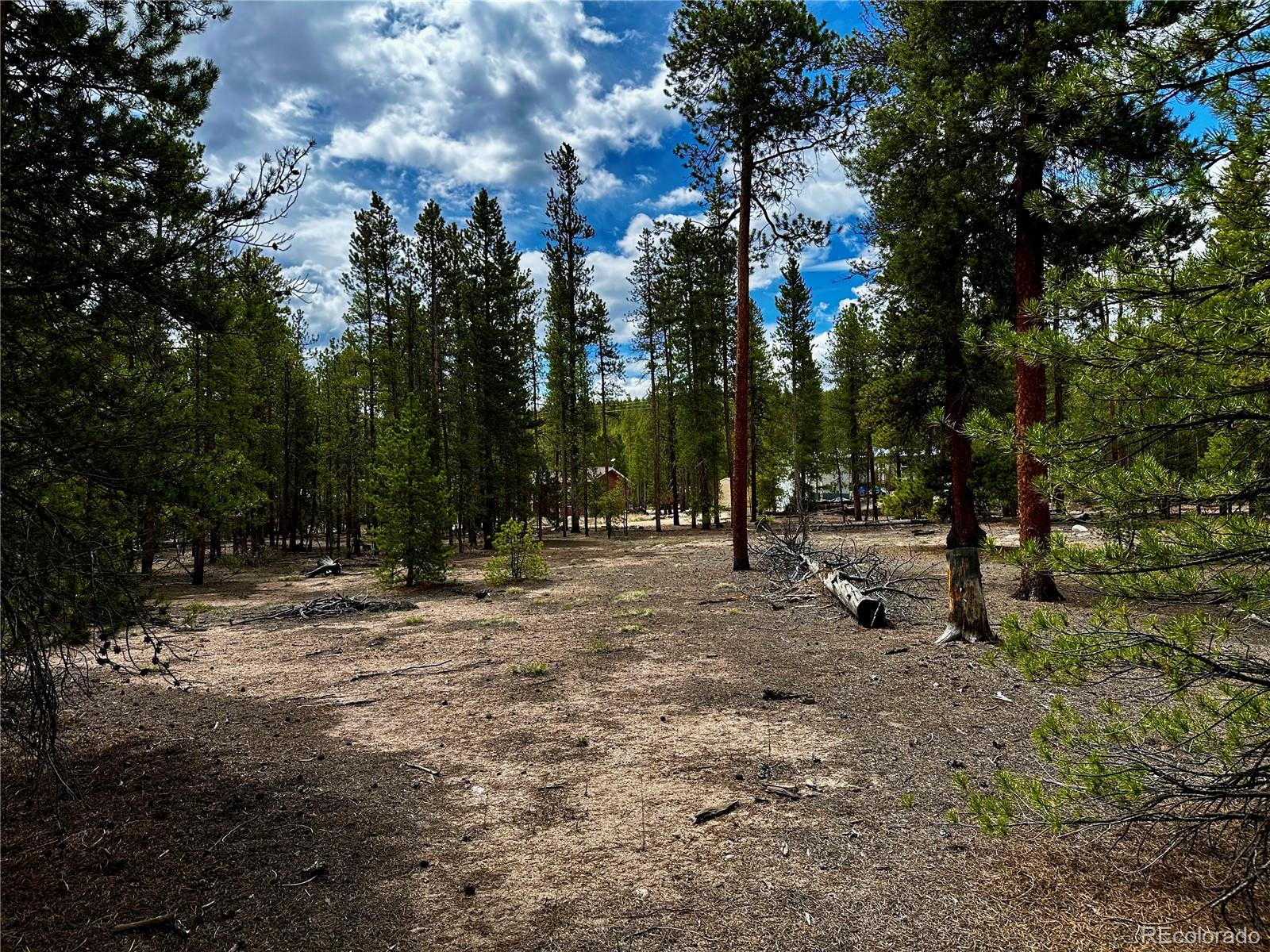 644 Birch Drive Twin Lakes CO 80461