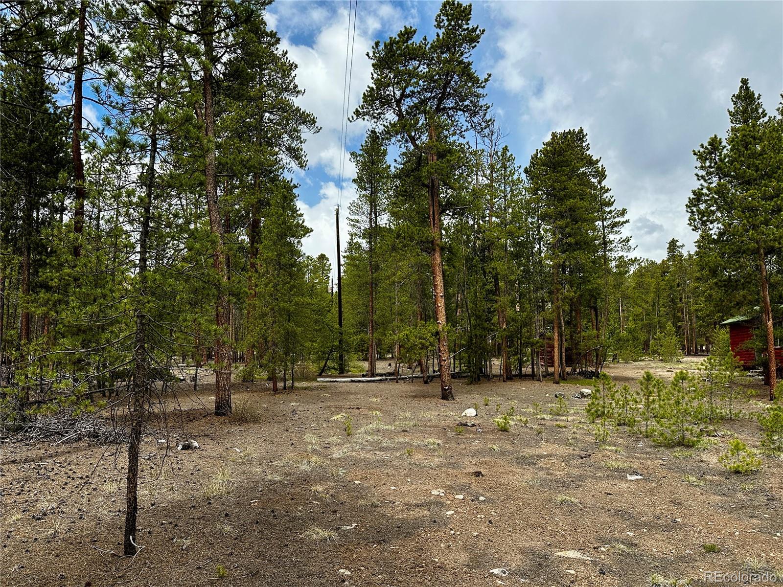 644 Birch Drive Twin Lakes CO 80461