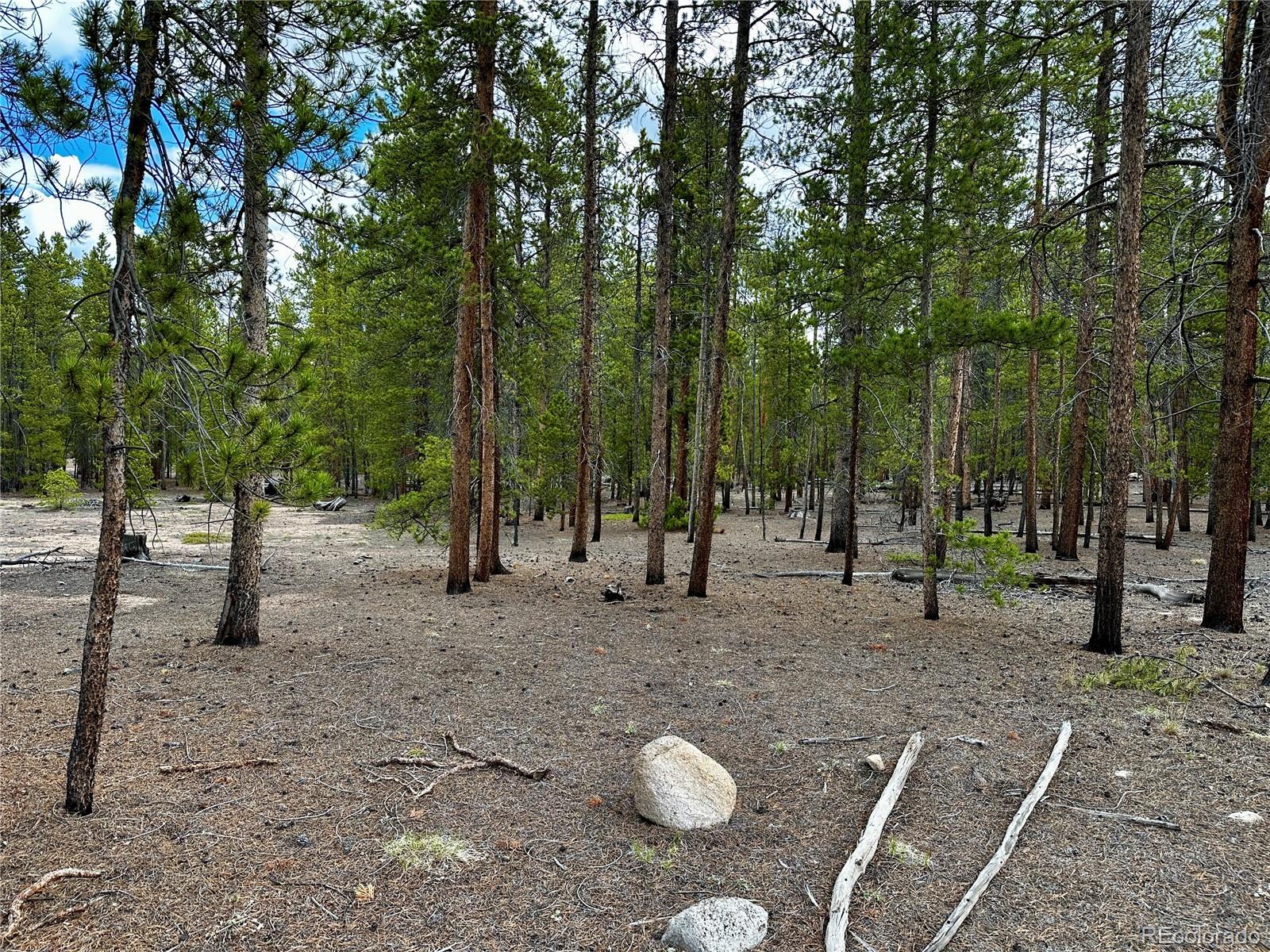 644 Birch Drive Twin Lakes CO 80461