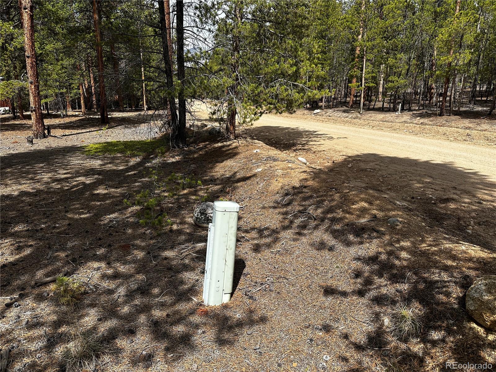 644 Birch Drive Twin Lakes CO 80461