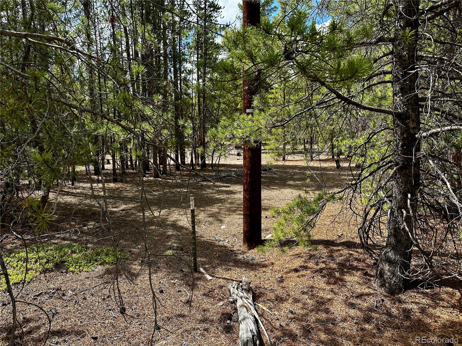 644 Birch Drive Twin Lakes CO 80461