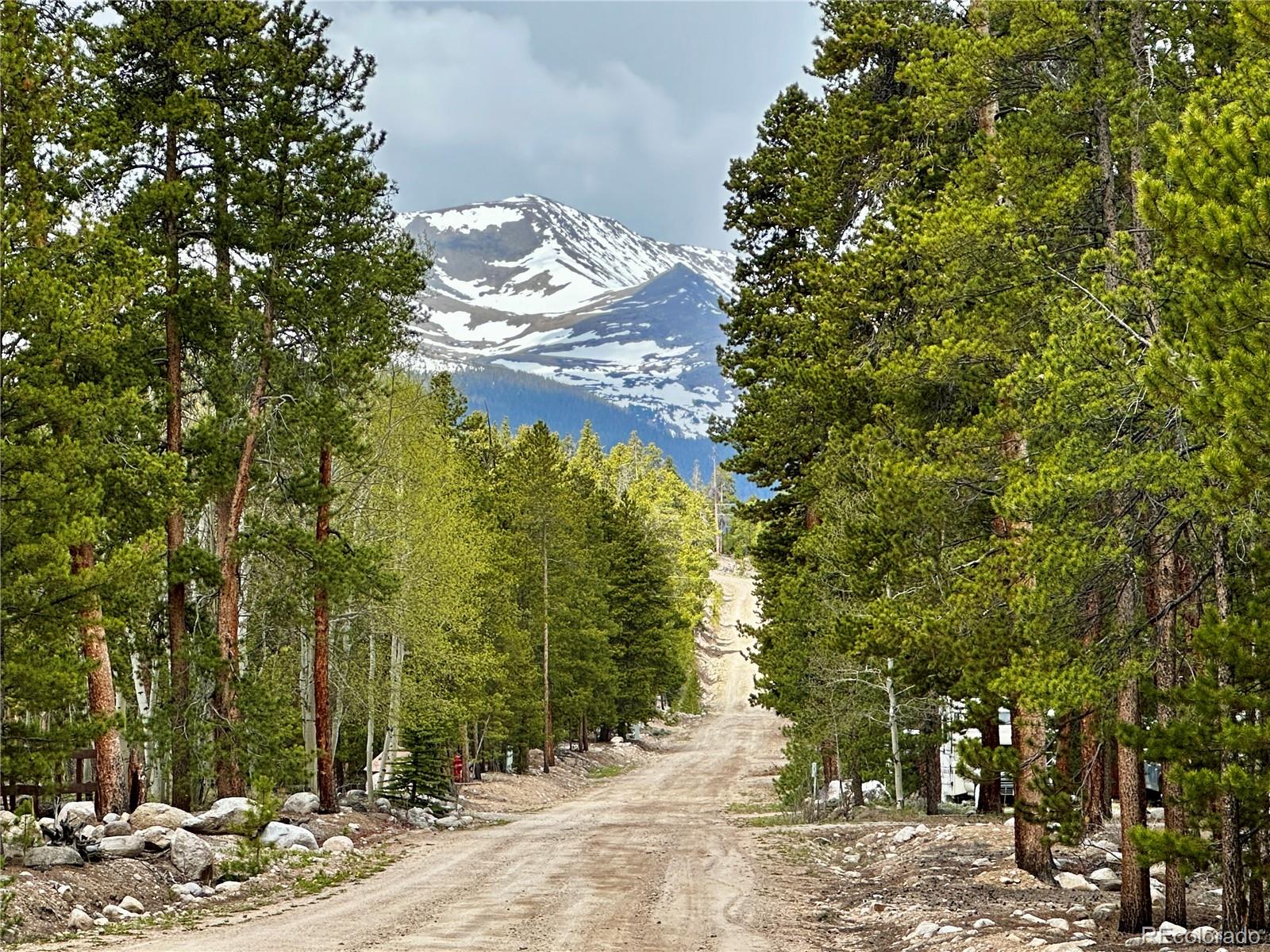 644 Birch Drive Twin Lakes CO 80461