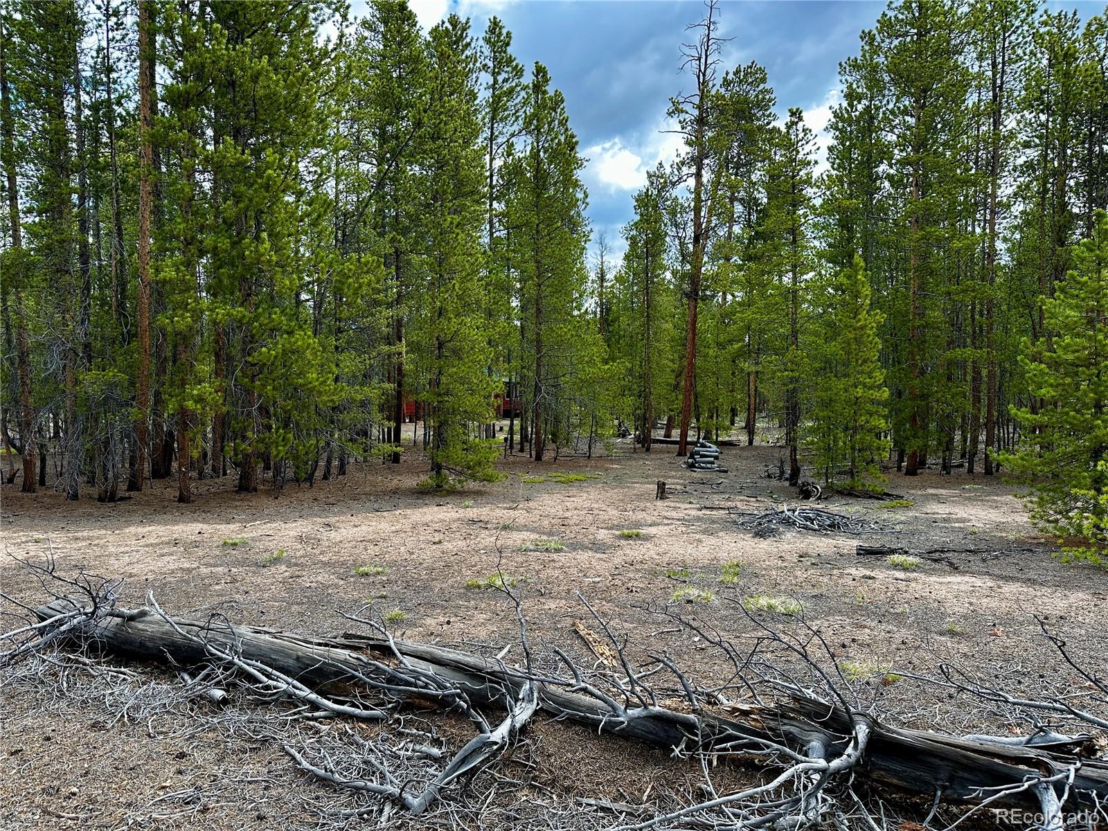 644 Birch Drive Twin Lakes CO 80461