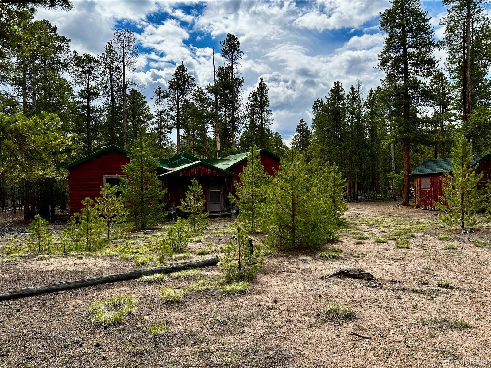 644 Birch Drive Twin Lakes CO 80461