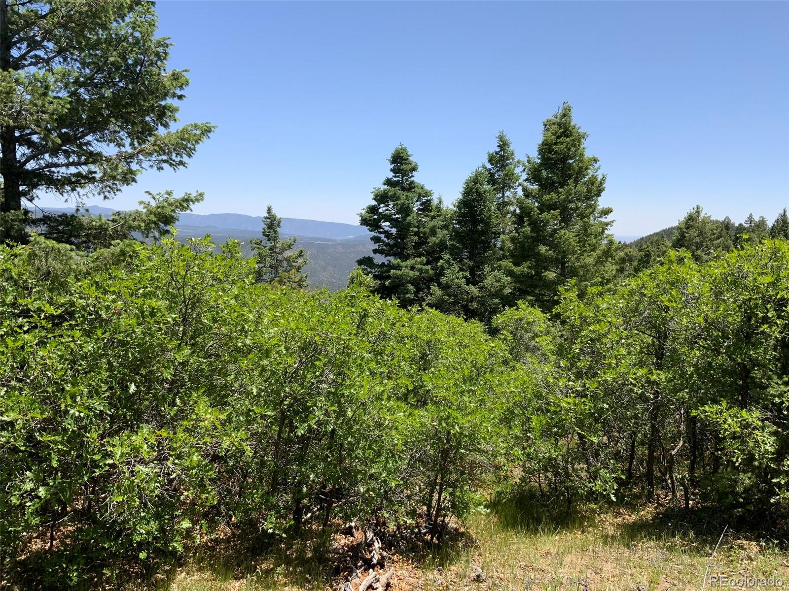 000 Peak View Ridge Canon City CO 81212