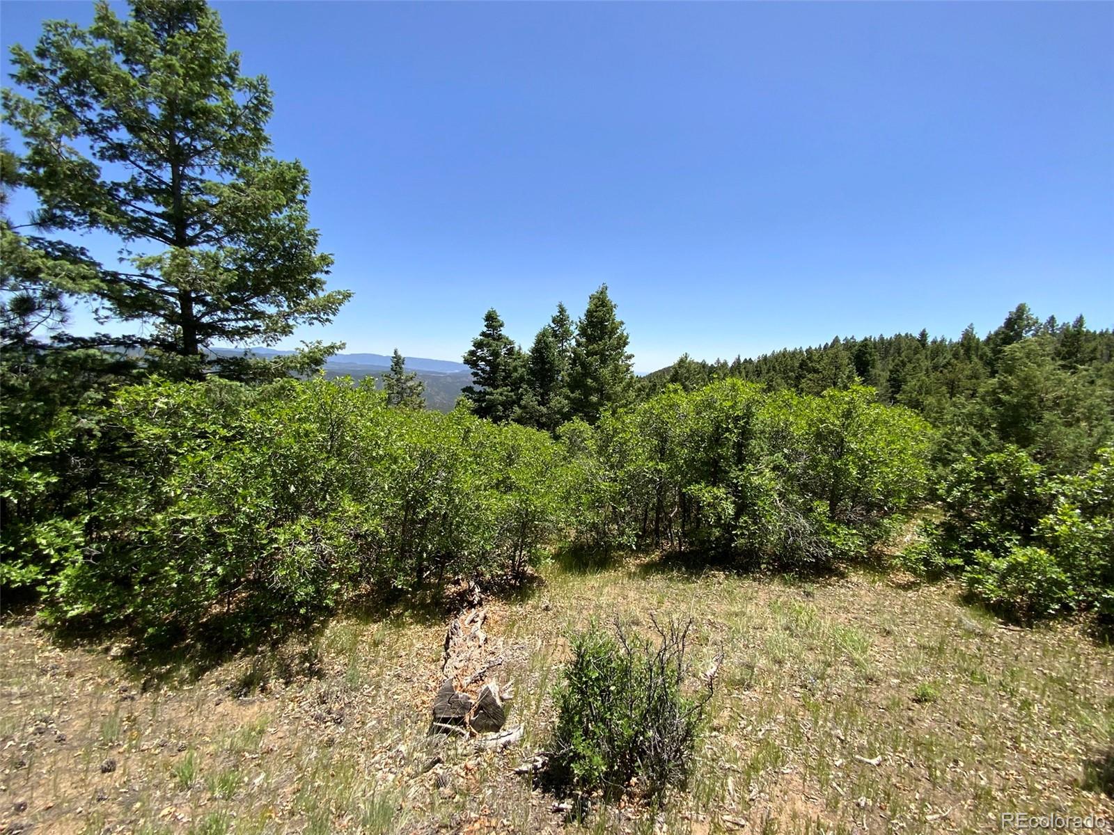 000 Peak View Ridge Canon City CO 81212