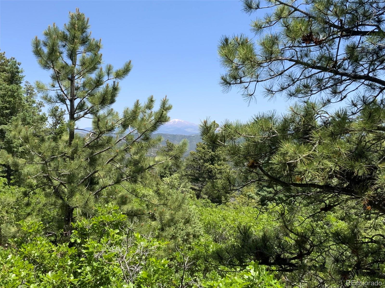 000 Peak View Ridge Canon City CO 81212