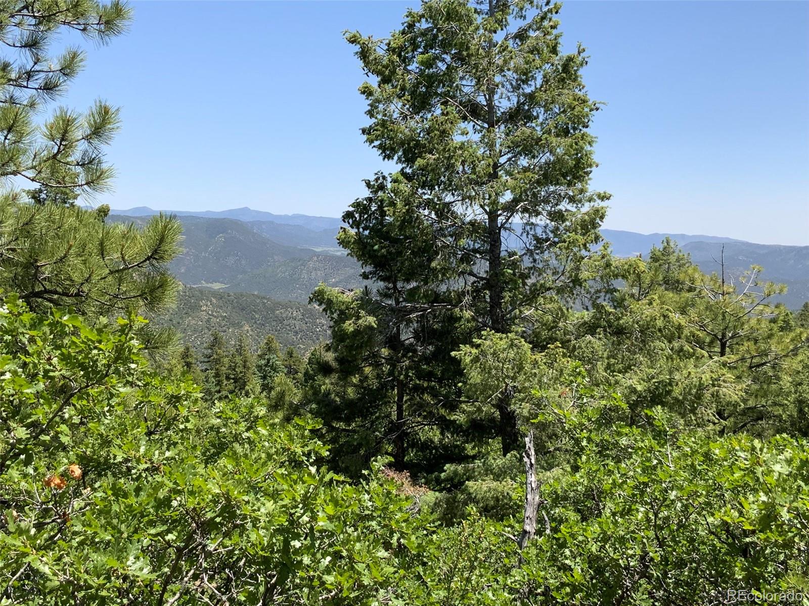 000 Peak View Ridge Canon City CO 81212