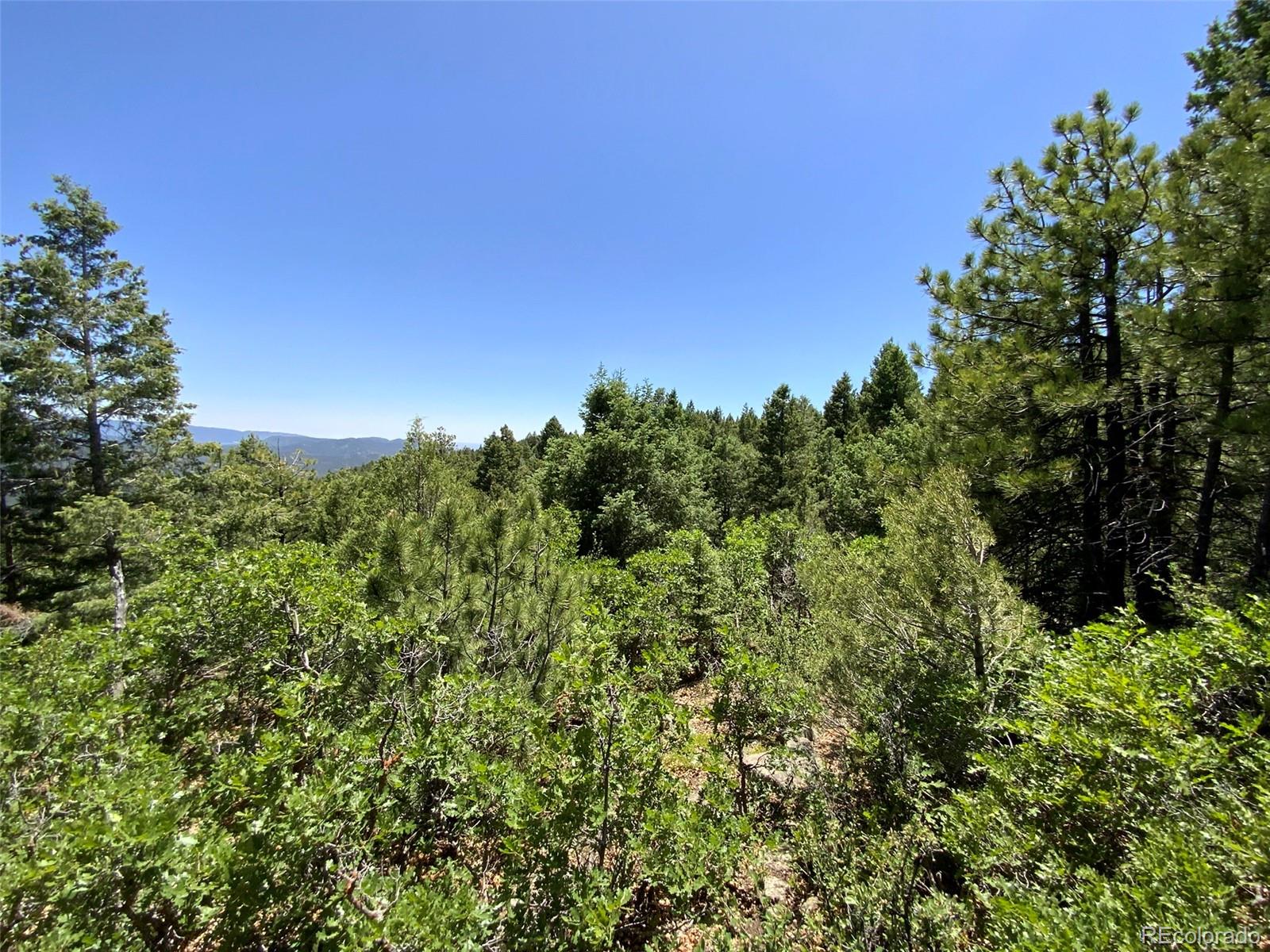 000 Peak View Ridge Canon City CO 81212