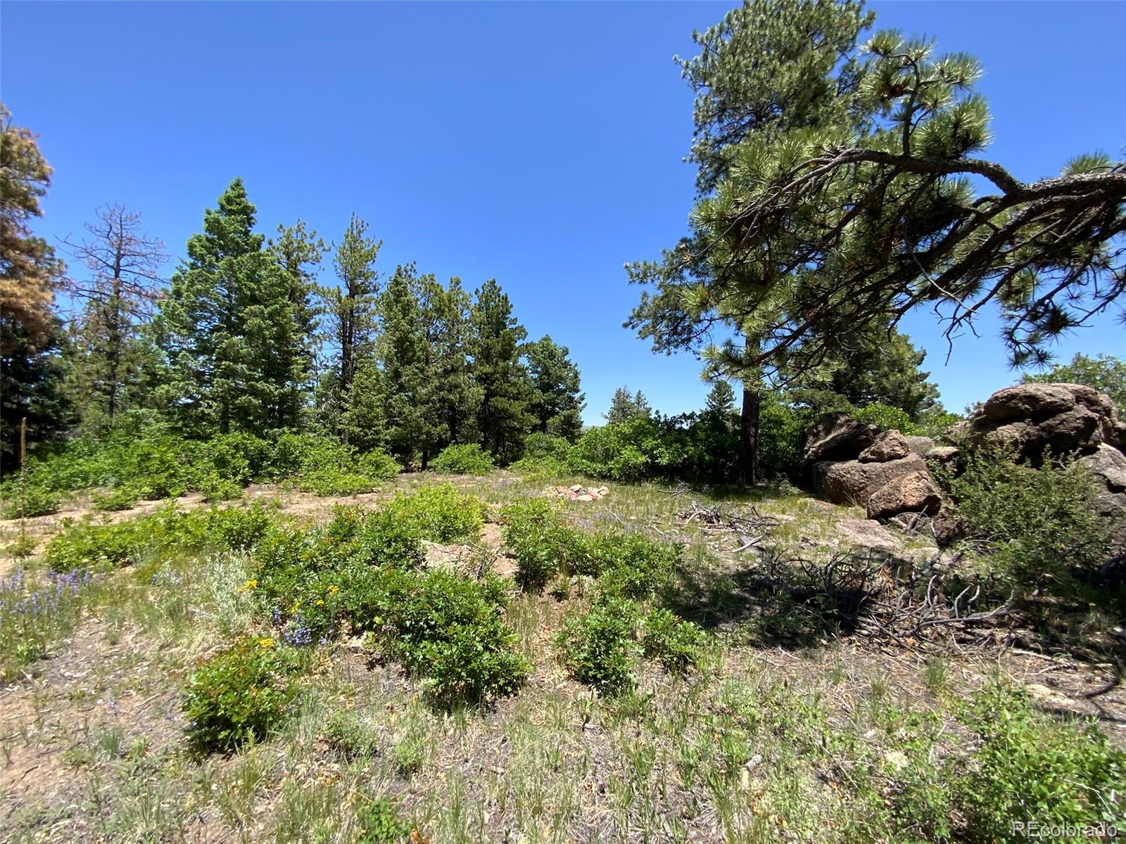 000 Peak View Ridge Canon City CO 81212