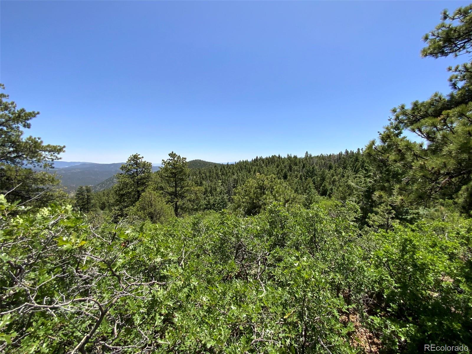 000 Peak View Ridge Canon City CO 81212