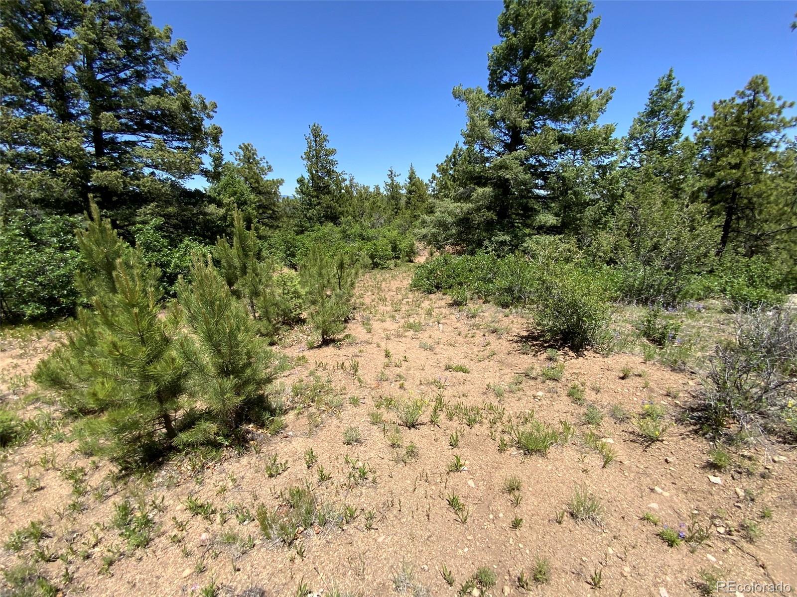 000 Peak View Ridge Canon City CO 81212