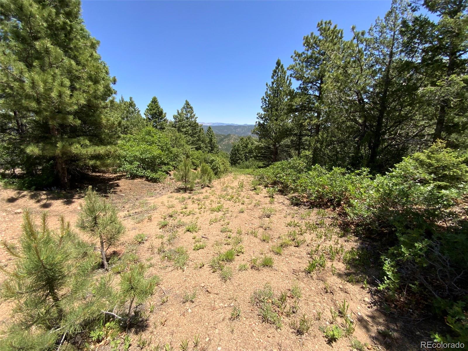 000 Peak View Ridge Canon City CO 81212