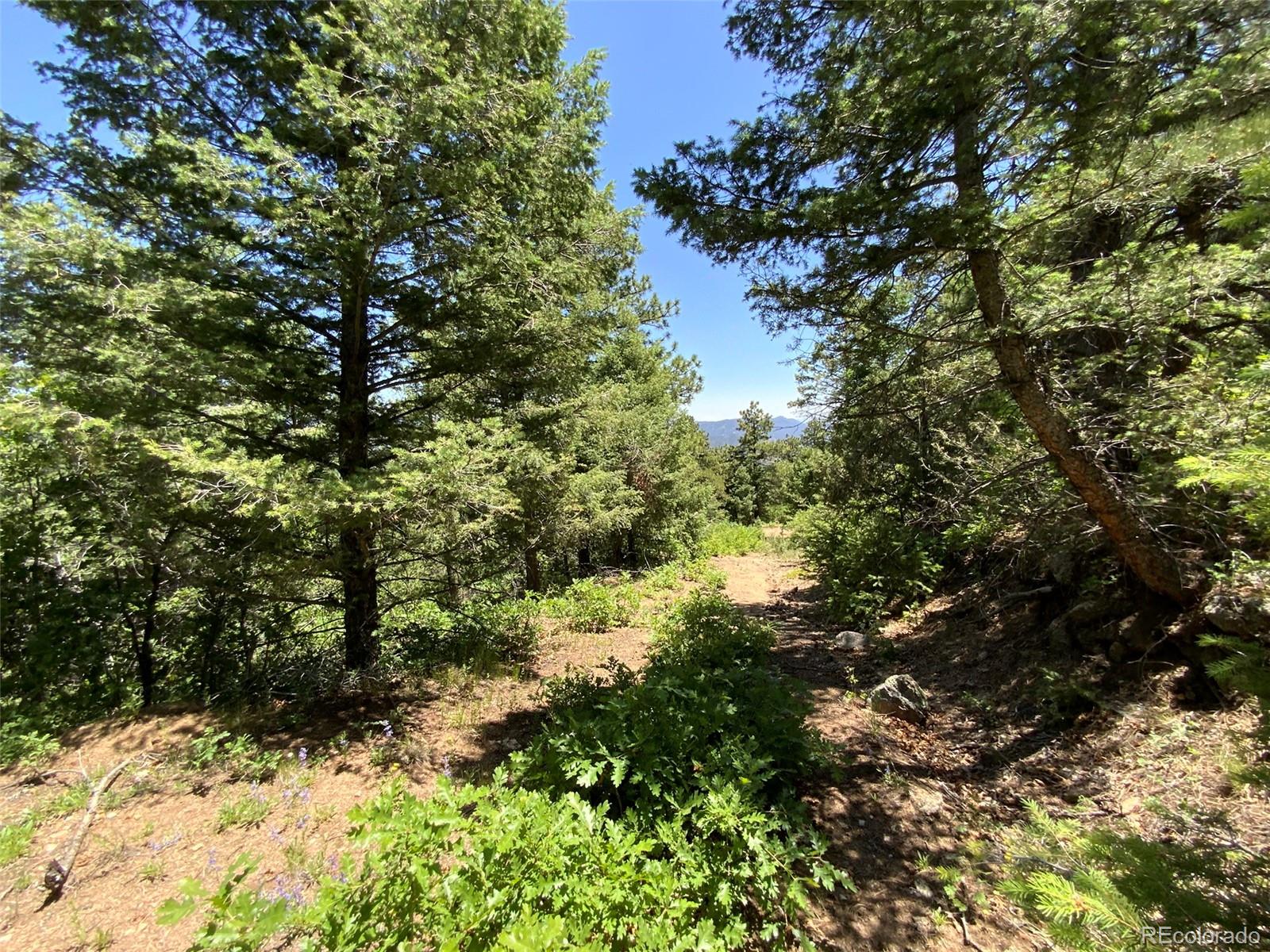 000 Peak View Ridge Canon City CO 81212