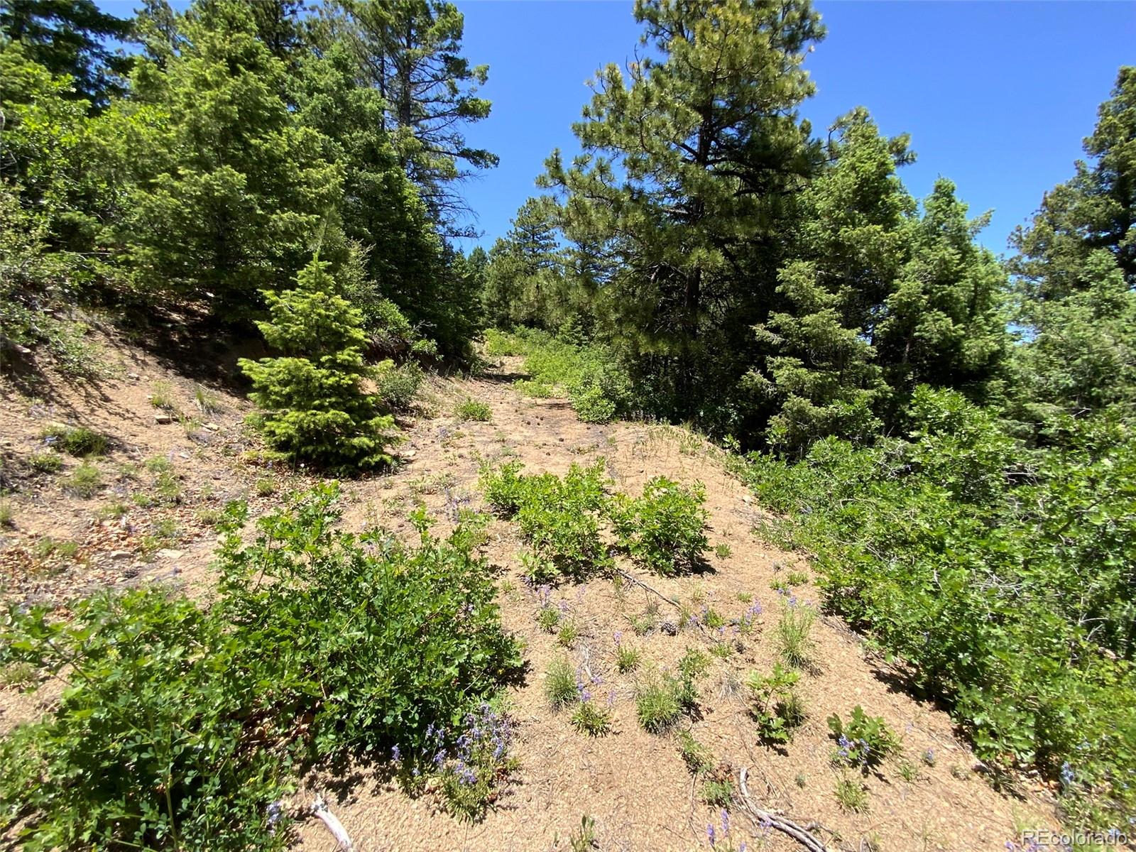 000 Peak View Ridge Canon City CO 81212